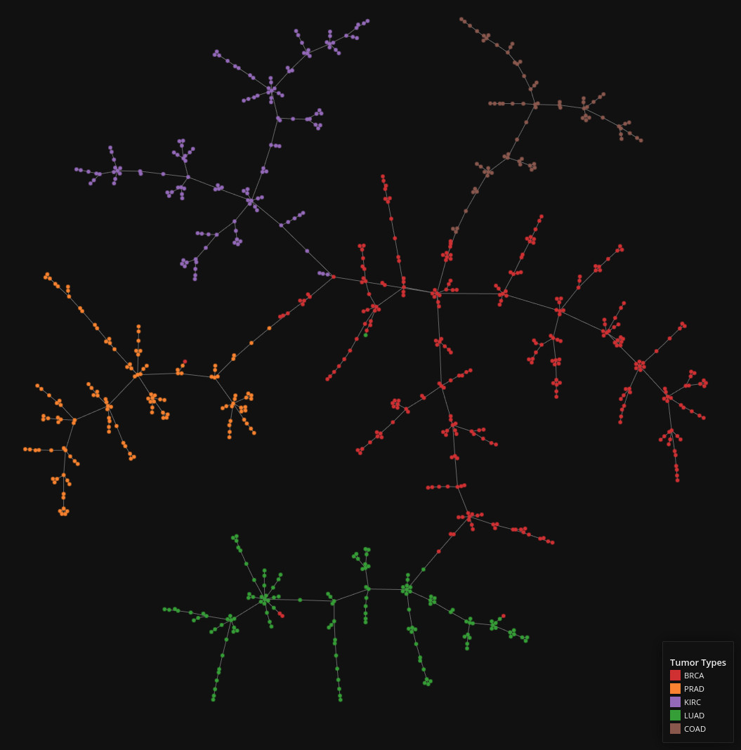 RNA Sequencing data visualized as a graph / spanning tree using tmap.